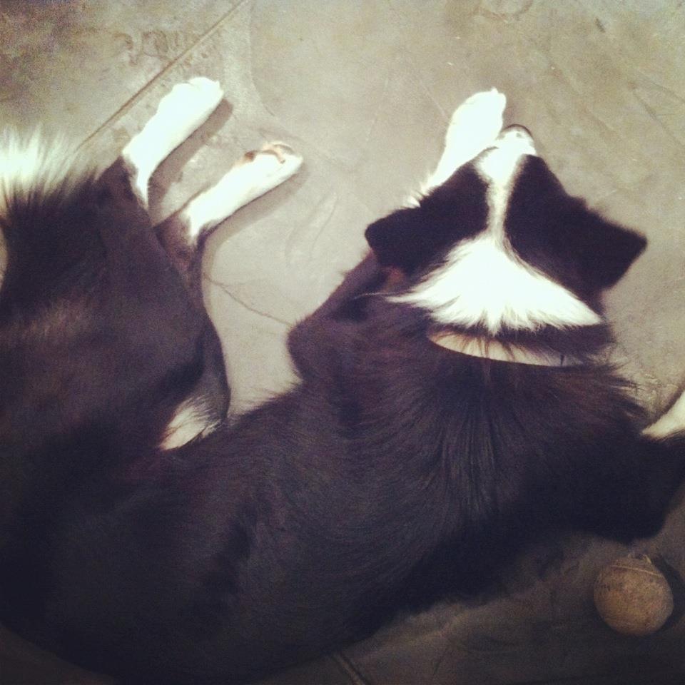 253059_4398518917045_818573487_n